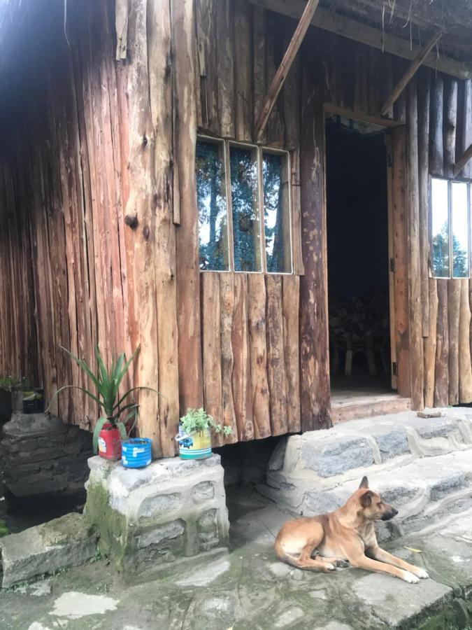 Kalitusi Nature Resort Fort Portal Exterior foto